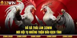 Đá Gà Thái Lan 33win – Nơi Hội Tụ Những Trận Đấu Kịch Tính