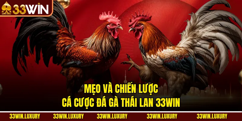Mẹo và chiến lược cá cược đá gà Thái Lan 33win