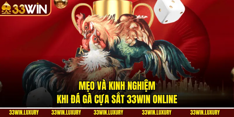 Mẹo và kinh nghiệm khi đá gà cựa sắt 33win online